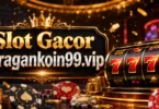 slot gacor juragankoin99.vip - what users should know before playing